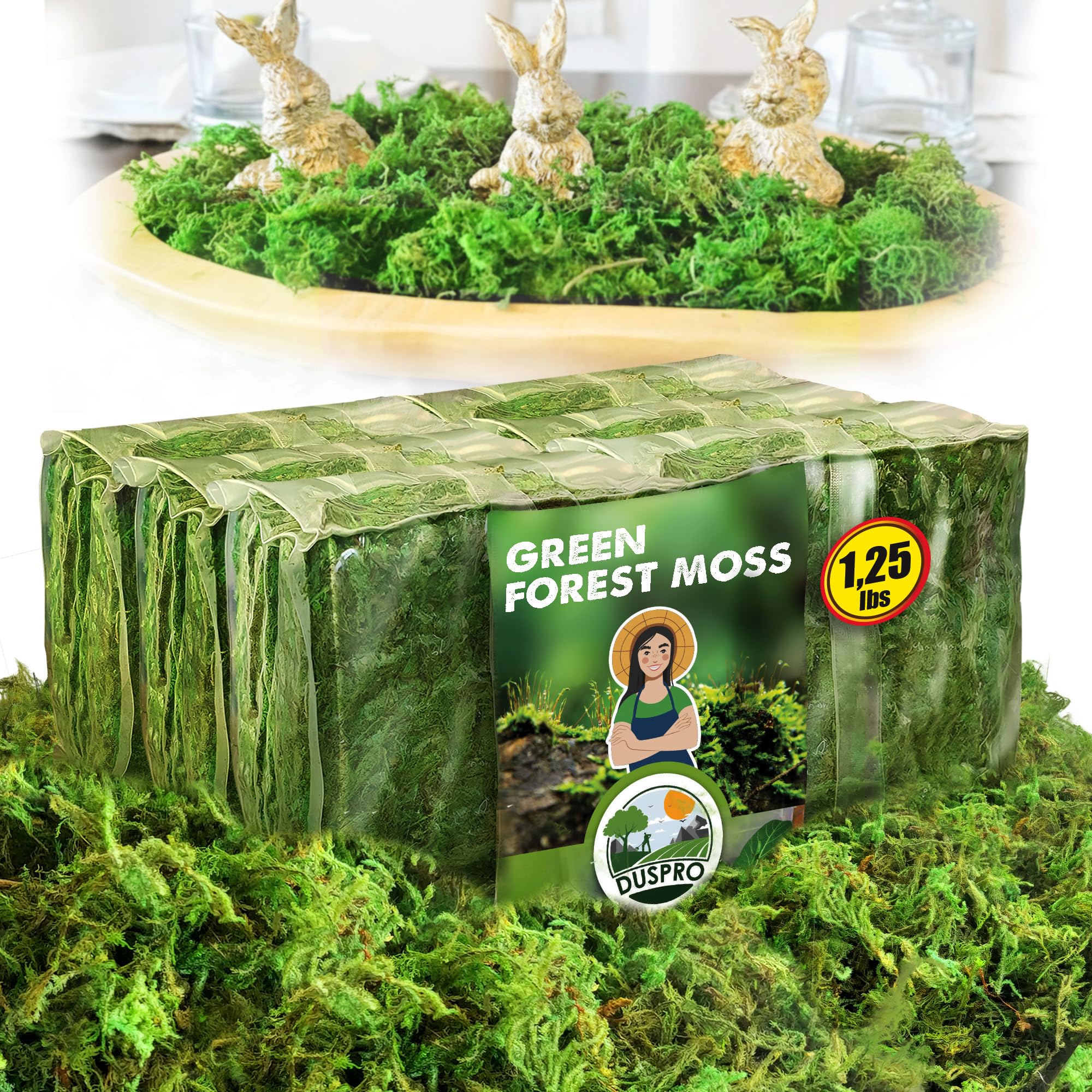 Photo 1 of [Upgraded] DUSPRO Green Moss for Crafts, Real Forest Moss Potted Plants, Decorative Mosses for Table Centerpieces Wedding, Easter Day Decoration, Indoor Planters, DIY Project (1.25 Lbs)