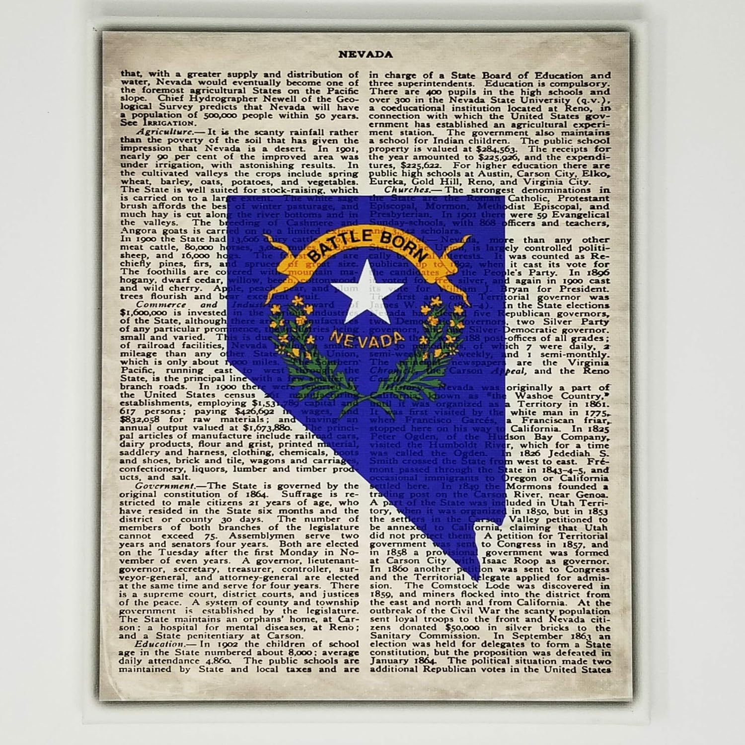 Amazon Com Nevada Flag Canvas Wall Decor 8x10 Decorative Nv State Map Silhouette Encyclopedia Art Print Ready To Hang Home State Love Handmade Gifts Nev Decorations Handmade