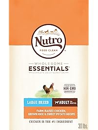 Dog Food | Amazon.com