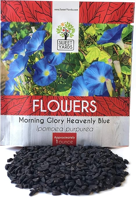 Amazon Com Morning Glory Seeds Heavenly Blue Large 1 Ounce