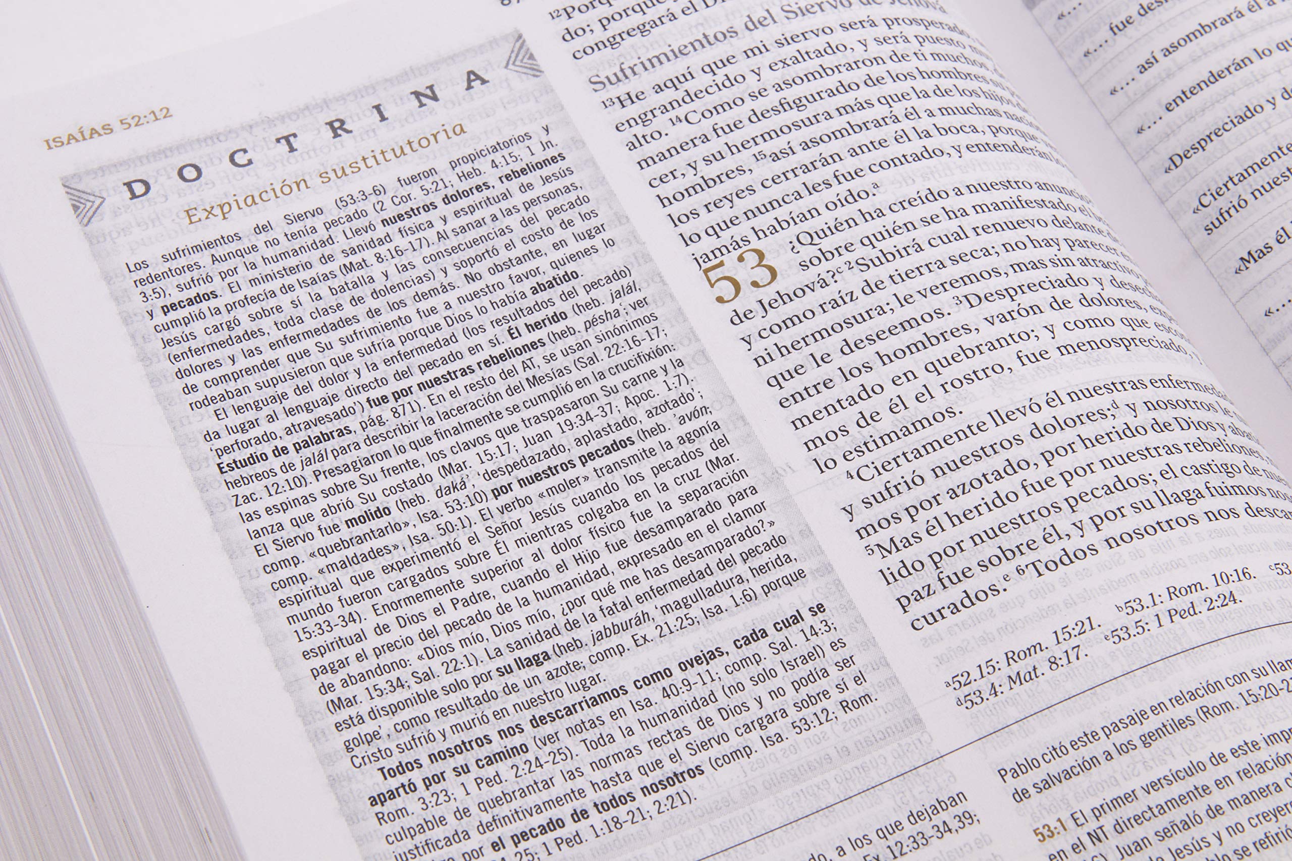 Biblia Reina Valera 1960 de Estudio para Mujeres, Tapa dura | RVR 1960 Women's Study Bible, Hardcover (Spanish Edition) Biblia Reina Valera 1960 de Estudio para Mujeres, Tapa dura | RVR 1960 Women's Study Bible, Hardcover (Spanish Edition) Hardcover