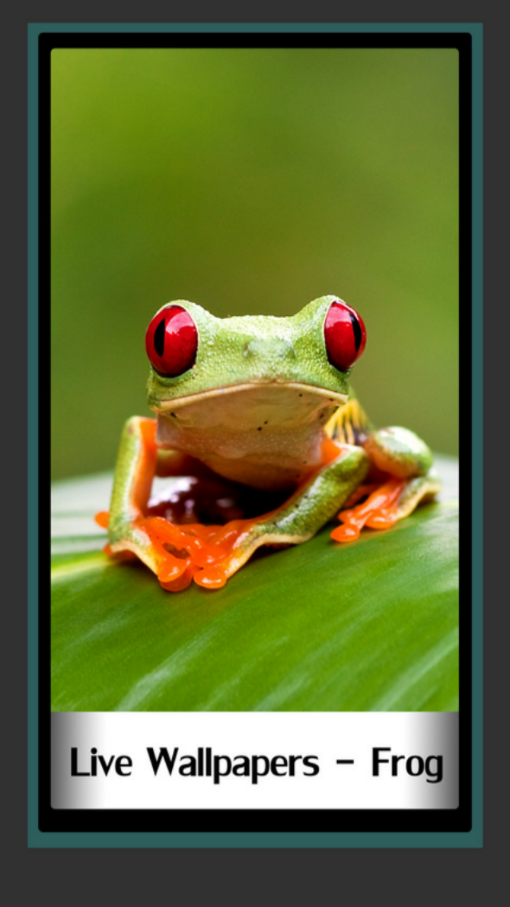 ライブ壁紙 カエル Amazon Co Jp Appstore For Android