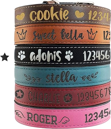 amazon dog collar with name