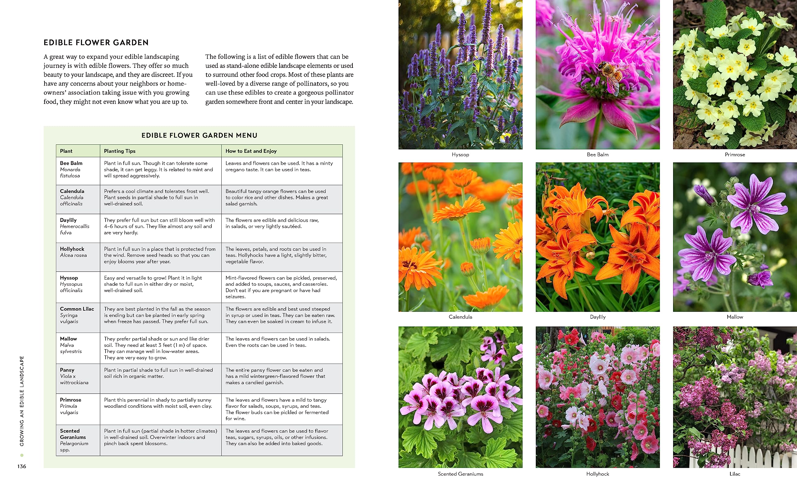 Growing an Edible Landscape: How to Transform Your Outdoor Space into a Food Garden