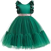 Weileenice Big/Little Girls Dress Butterfly Sleeve Ruffle Tulle Kids Princess Wedding Pageant Party Tutu Dresses