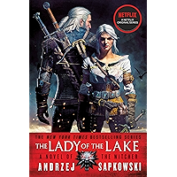The Lady of the Lake (The Witcher Book 7 / The Witcher Saga Novels Book 5) book cover