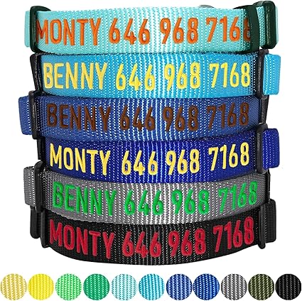 personalized dog collars amazon