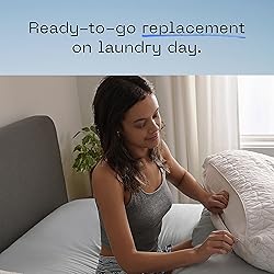 Coop Home Goods Original Pillow Case, Queen Size