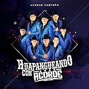 Huapangueando con Acorde Norteño