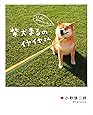 柴犬まるのイヤイヤさん
