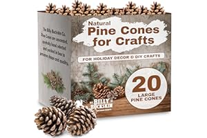 BILLY BUCKSKIN HOME & BEAUTY 20 Large Natural Pine Cones for Crafts, 3" to 4" Tall Pine Cones Craft for Table, Home Decor, Vase Fillers, Desk & Christmas Trees, Unscented Pinecones Crafts Ornament for Decorating by Billy Buckskin
