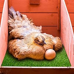 Rural365 Nesting Box Pads Artificial Turf Square