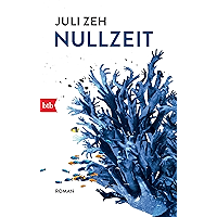 Nullzeit: Roman (German Edition) book cover