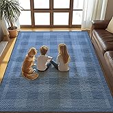 Washable 5x7 Checkered Rug for Living Room, Blue Checkerboard Modern Minimalist Large Foldable Area Rugs, Ultrathin Low Pile Soft Nonslip Indoor Carpet for Office Bedroom Playroom Classroom Dorm