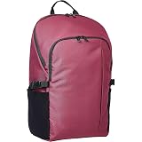 Amazon Basics Backpack for Laptops 
