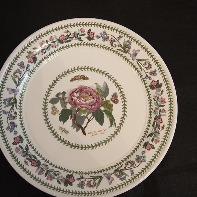 Portmeirion Variations Dinner Plate Amazon.co.uk Kitchen & Home