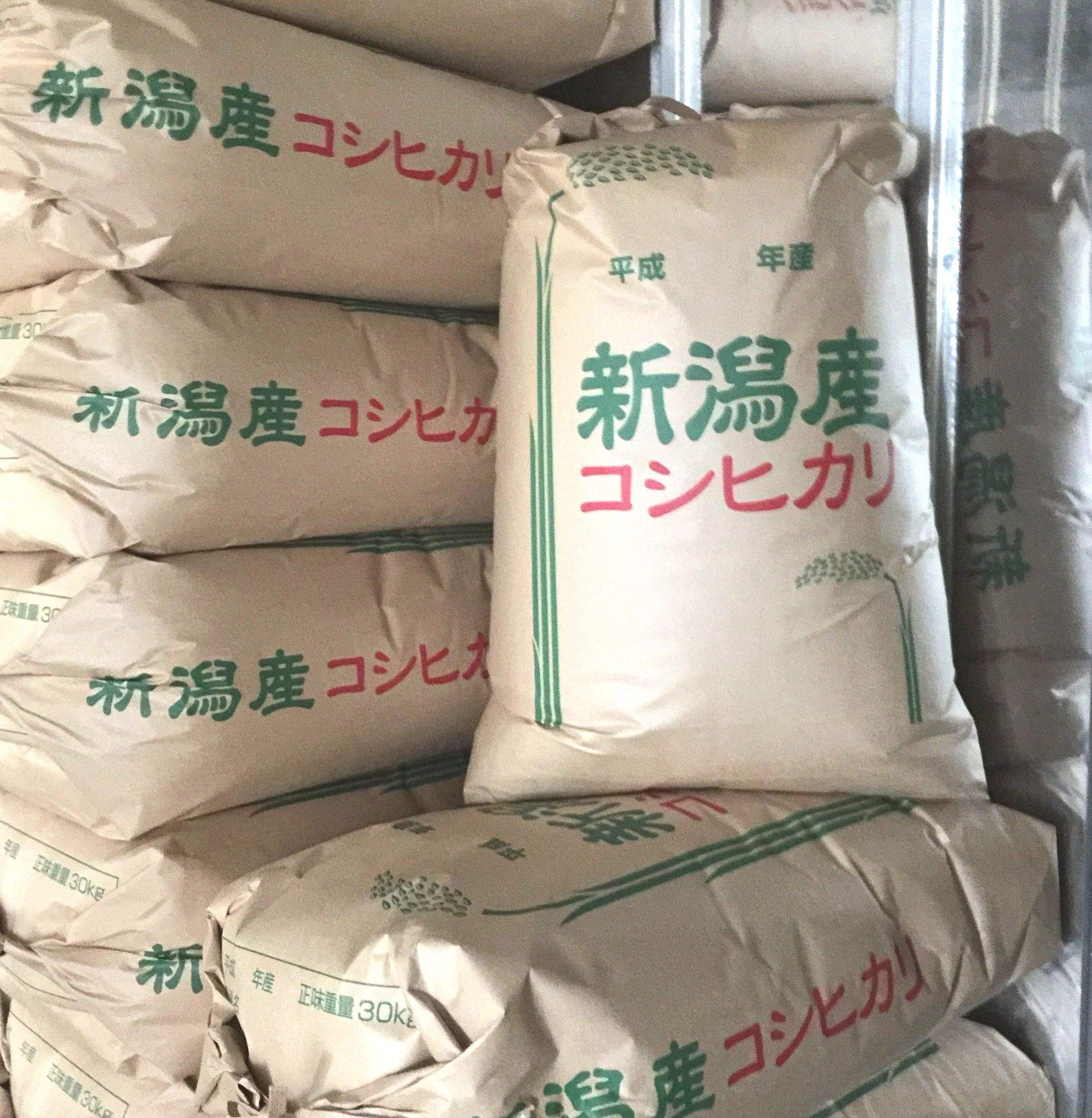 令和7年産 新潟県産 コシヒカリ 玄米 ３０ｋｇ商品画像
