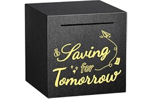 KYPEEKA Piggy Bank for Adults Must Break to Access Money, Stainless Steel Savings Bank Adult Piggy Bank for Real Money, Metal Savings Box for Cash Saving - 4.72"