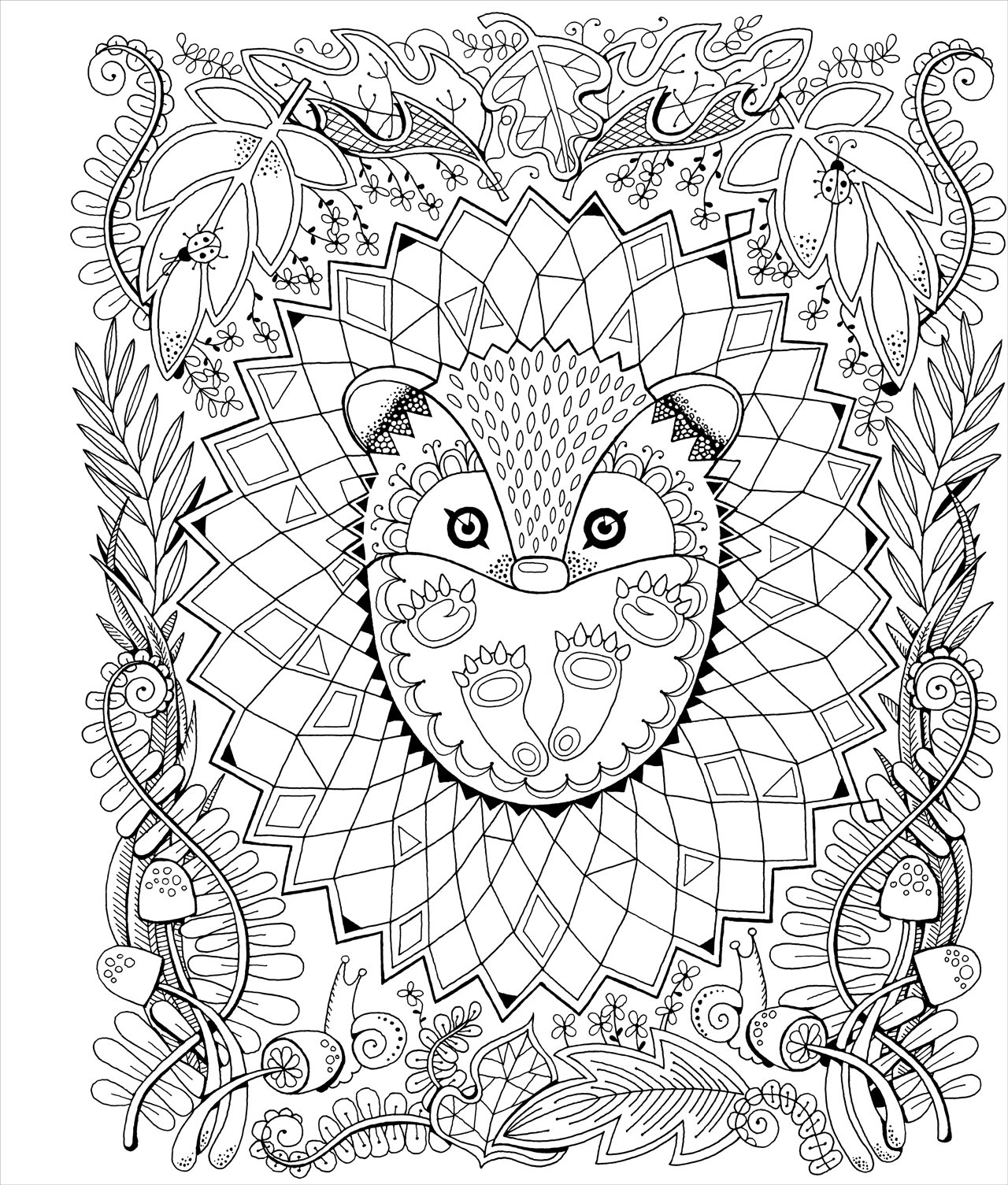 Color & Frame In the Forest (Adult Coloring Book) site_title
