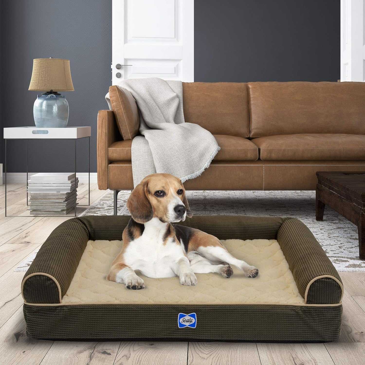 Sealy Dog Bed Sealy Ultra Plush Sofa-Style Bolster Dog Bed Brown, Small - Orthopedic Foam Pet Bed with Machine Washable Plush Cover, Small (20" x 25") (SealyOCB2520B) : Pet Supplies