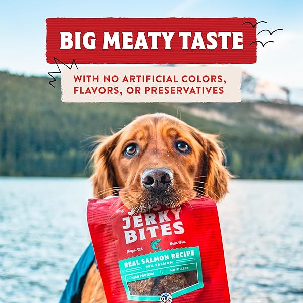 STELLA & CHEWY’S PREMIUM BEEF JERKY DOG TREATS – 95% REAL MEAT BITES FOR SENSITIVE STOMACHS – NATURAL LIMITED INGREDIENT TREATS FOR SMALL AND LARGE DOGS – NO GRAIN, WHEAT OR SOY – 6 OZ BAG
