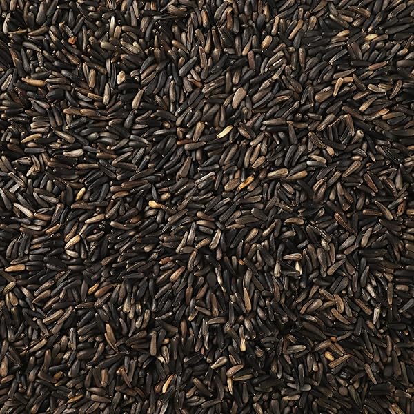 HAPPY WINGS NYJER THISTLE SEEDS FOR WILD BIRDS 15 LBS NO GROW PREMIUM BIRD SEED ATTRACTS FINCHES, GOLDFINCHES, IDEAL FOR YEAR-ROUND FEEDING HIGH IN PROTEIN AND ENERGY.