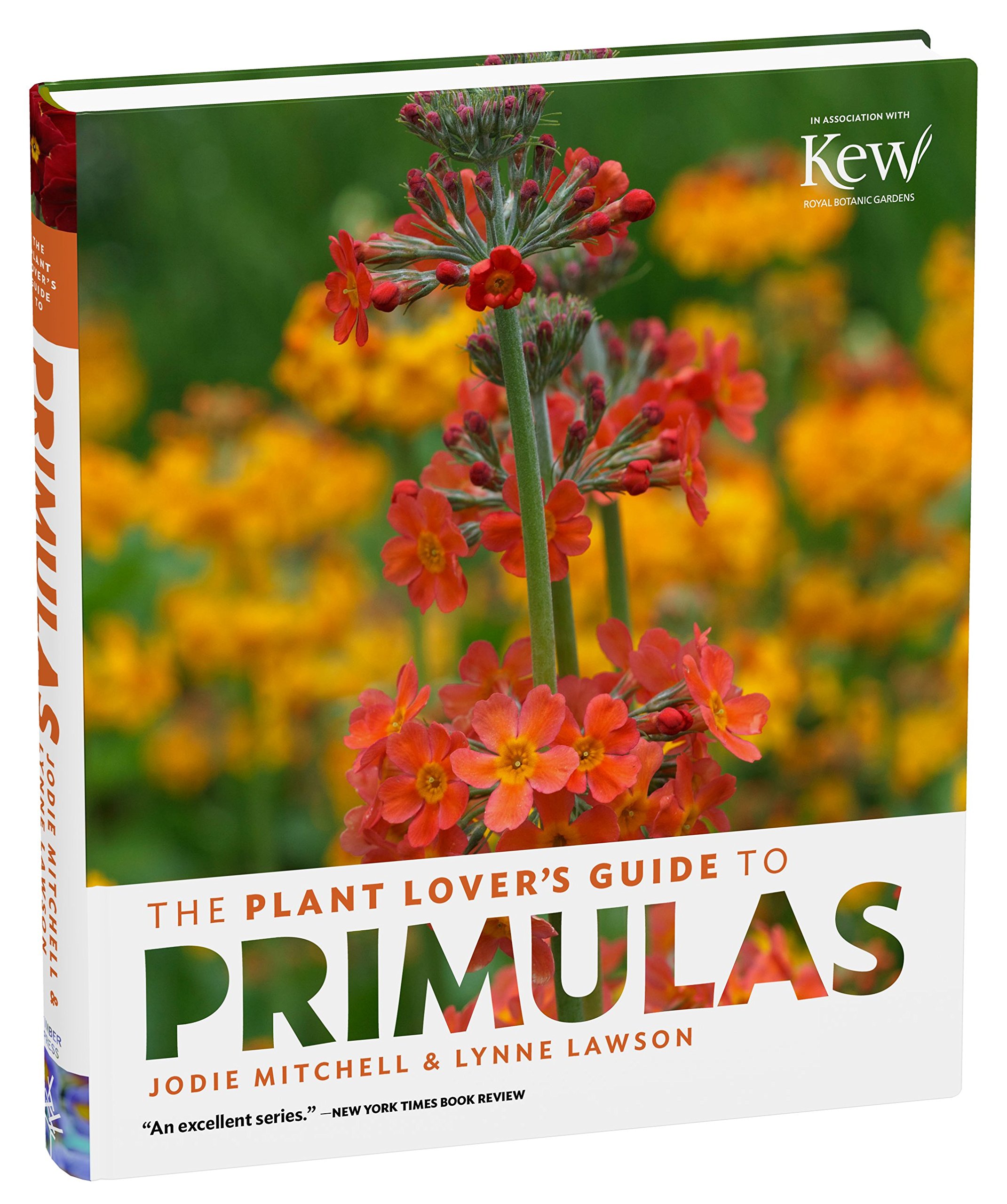The Plant Lover S Guide To Primulas The Plant Lover S Guides