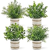 Der Rose 4 Pack Small Fake Plants Indoor Mini Artificial Plants for Home Office Farmhouse Decor Bathroom Bedroom Kitchen Desk Decor