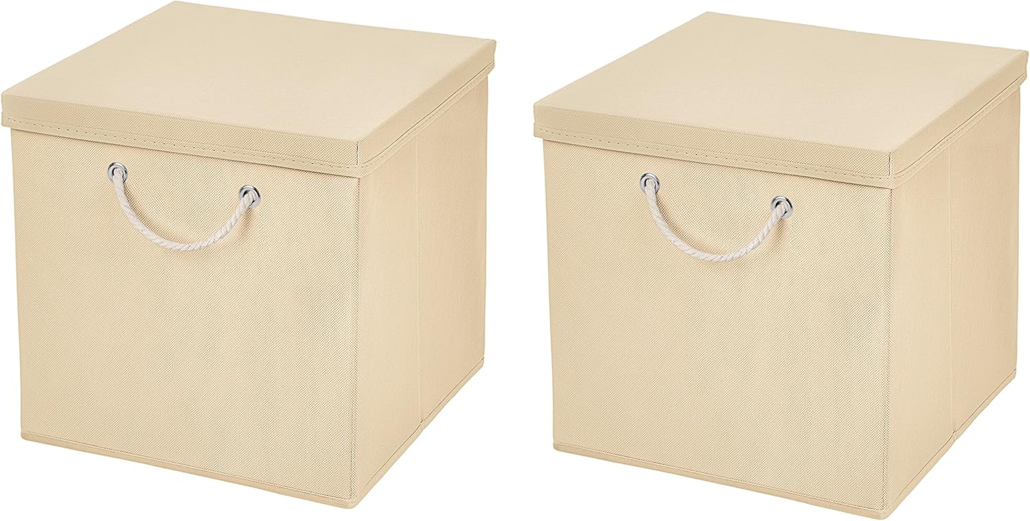 Caja de almacenaje, 30 x 30 x 30 cm, con tapa, beige, 2 unidades: Amazon.es: Hogar