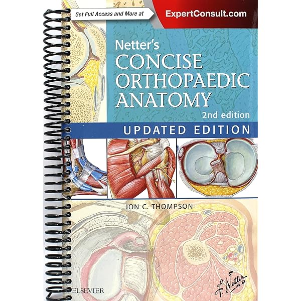 TNM Staging Atlas with Oncoanatomy Second Edition by Rubin