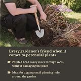 Kent & Stowe Stainless Steel Perennial Spade - Pointed Head Garden Tool view 3