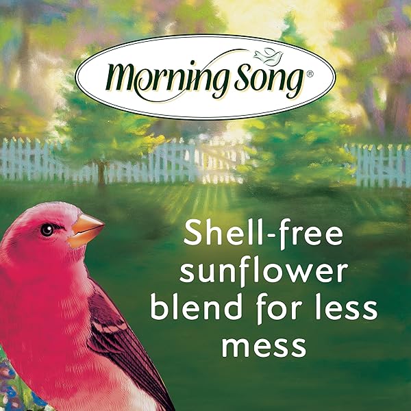 MORNING SONG CLEAN & FREE SHELL FREE WILD BIRD FOOD, PREMIUM NO MESS BIRD SEED FOR OUTSIDE FEEDERS, 10-POUND BAG