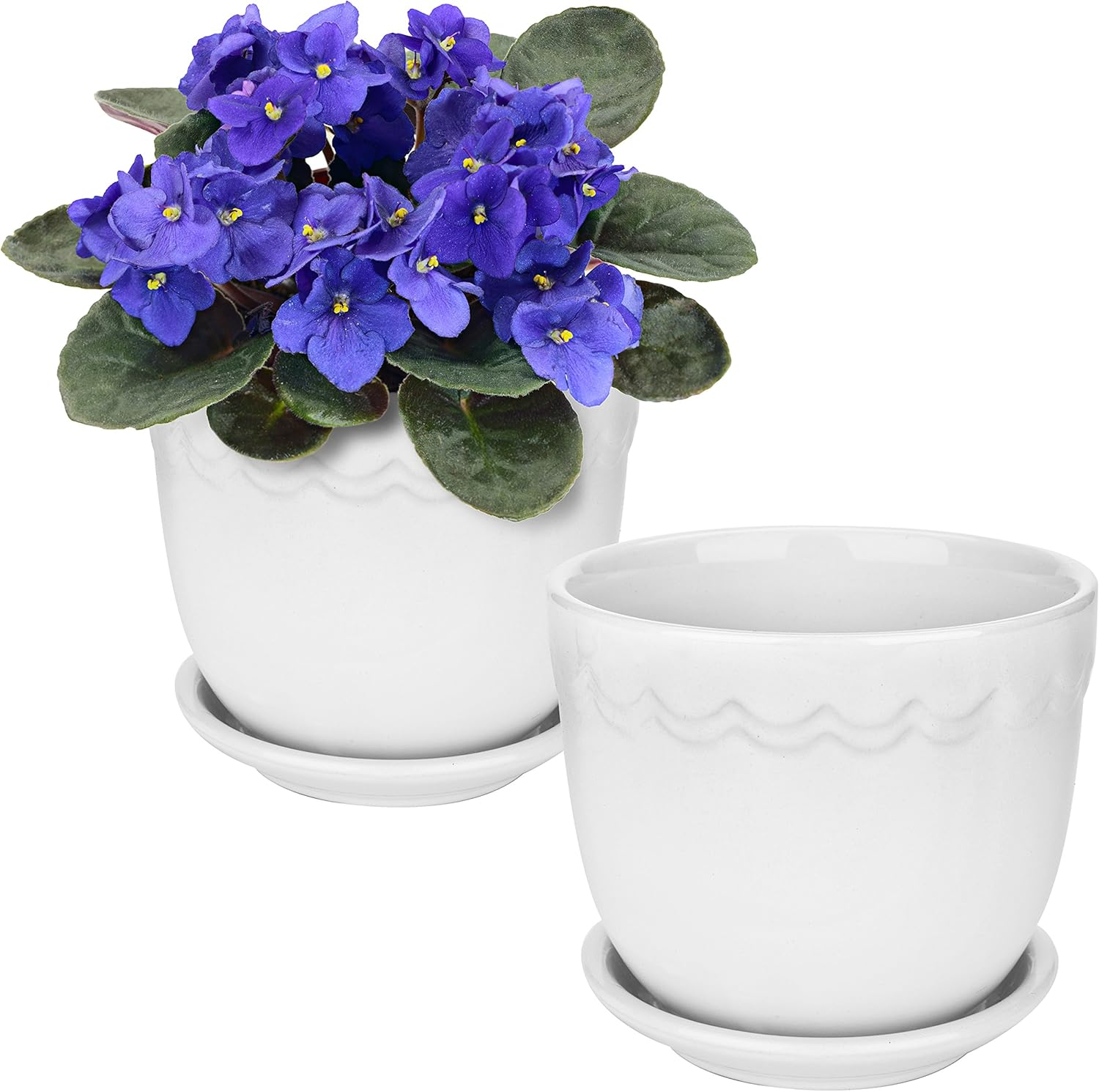The 10 African Violet Pots (Reviews & Guide) of 2023