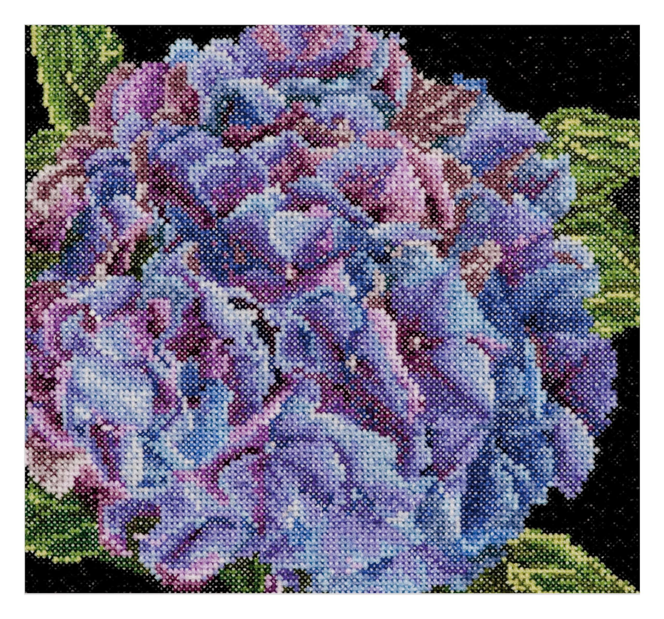 Thea Gouverneur - Counted Cross Stitch Kit - Hydrangea - Aida - 18 Count - Embroidery Kit for Adults - DMC Embroidery Threads and Other Cross Stitch Supplies Included - 497A