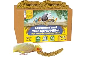 Birds LOVE Economy - 5 LBS Special Spray Millet – GMO-Free, No Stems (Edible Tops Only) – Healthy Treat for Cockatiels, Lovebirds, Parakeets, Finches & Canaries