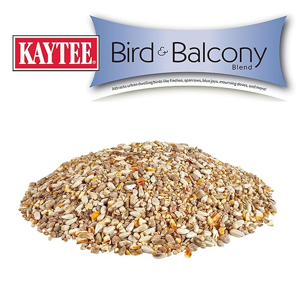 KAYTEE BIRD & BALCONY WILD BIRD FOOD NO MESS SEED BLEND FOR CITY DWELLING BIRDS LIKE FINCHES, SPARROWS, MOURNING DOVES AND MORE, 5 LB