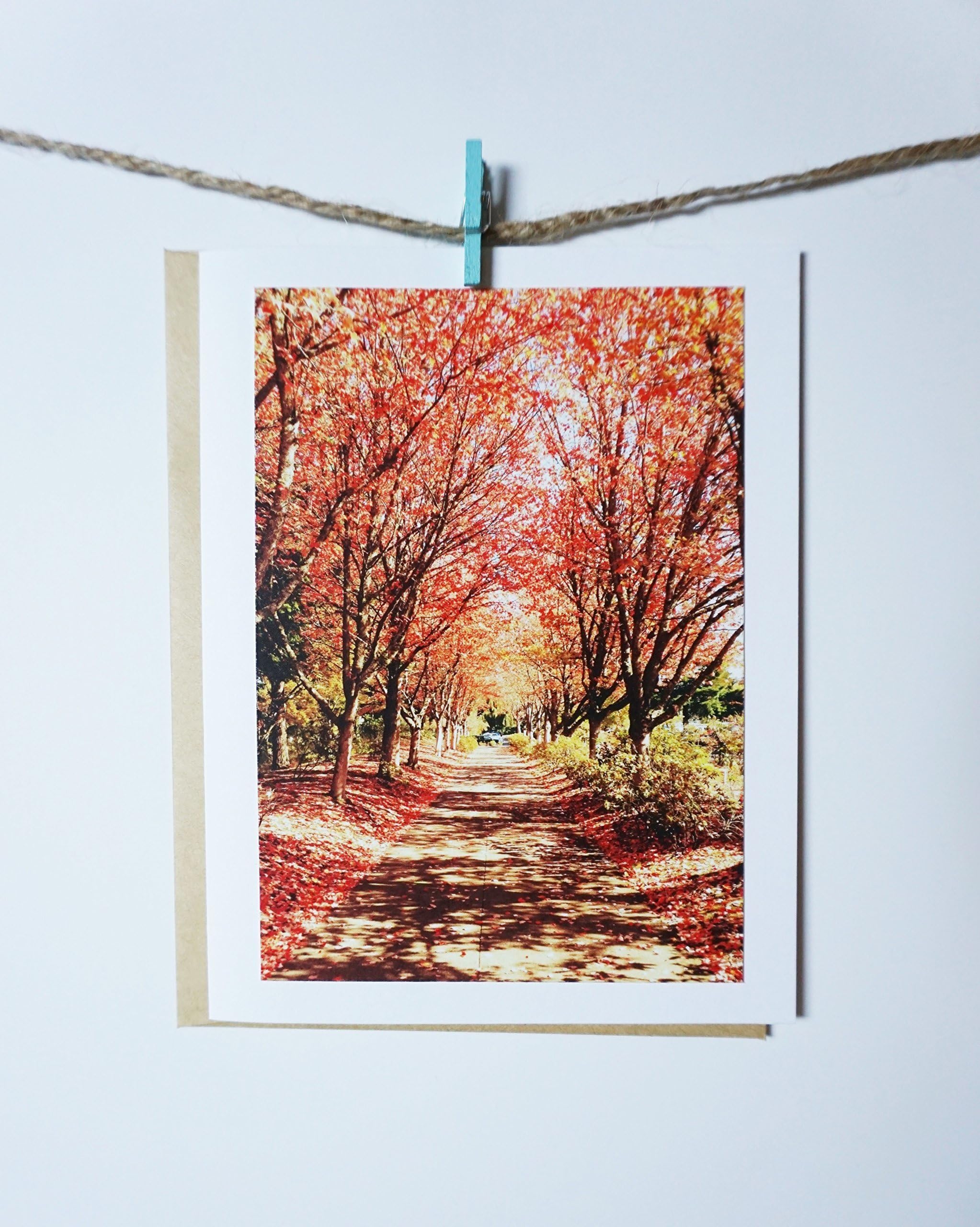 Beautiful path love photo greeting card