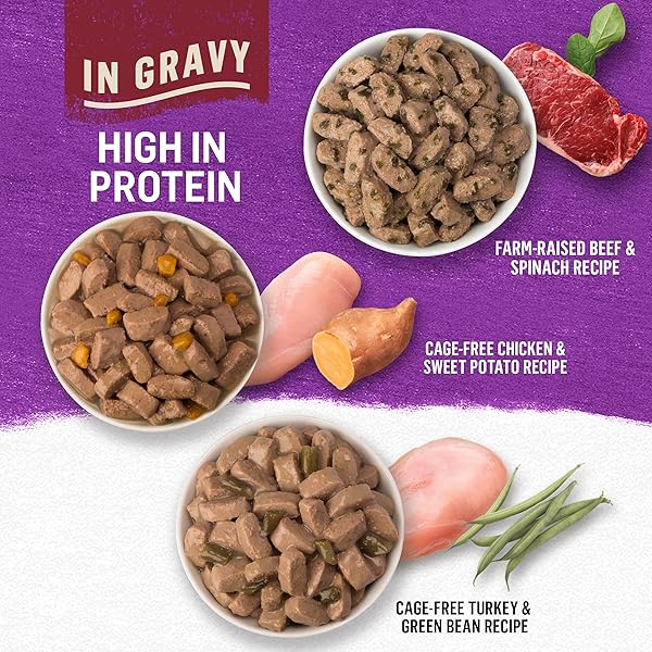 PURINA BEYOND GRAVY, BEEF, CHICKEN OR TURKEY IN GRAVY GROUND ENTREE GRAIN FREE WET DOG FOOD VARIETY PACK – (PACK OF 6) 12.5 OZ. CANS