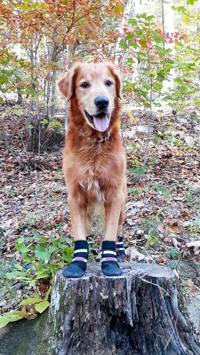 bark brite dog boots