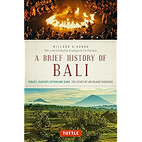 A Brief History Of Bali: Piracy, Slavery, Opium and Guns: The Story of a Pacific Paradise book cover