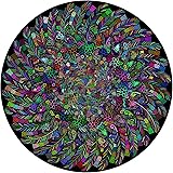 Bgraamiens Puzzle-The Indian Feather-1000 Pieces Round Puzzle Color Challenge Jigsaw Puzzles for Adults and Kids