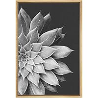 SIGNWIN Framed Canvas Wall Art Black and White Graptoveria Silver Star Botanical Succulent Photography Realism Modern Closeup for Living Room, Bedroom, Office - 16