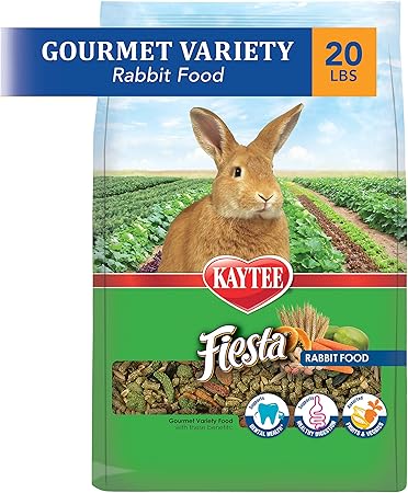 bunny rabbit food