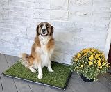 PICK FOR LIFE Dog Grass Toilet Large 51x63.5 cm Indoor Outdoor Potty System view 7