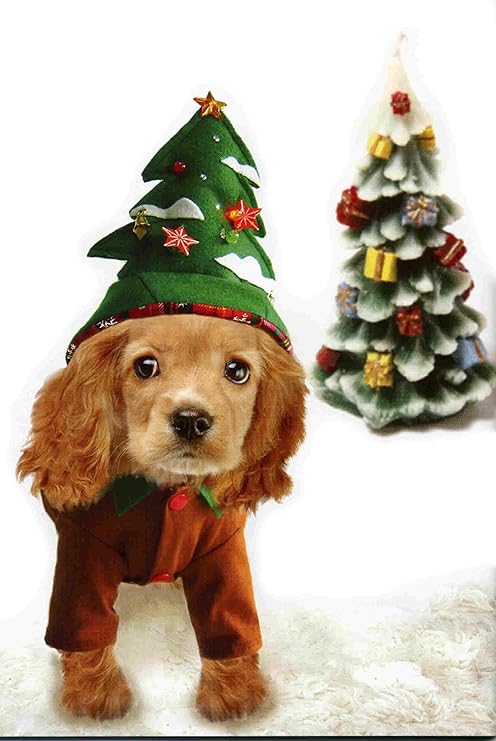 Immagini Di Natale Con Cani.Christmas Fancy Dress Costumi Per Cani Albero Di Natale Con Palline Campane E Molto Altro Ancora Ideale Per Feste E Le Feste Natalizie Dimensioni 30 5 Cm 30 Cm Amazon It Prodotti Per Animali Domestici