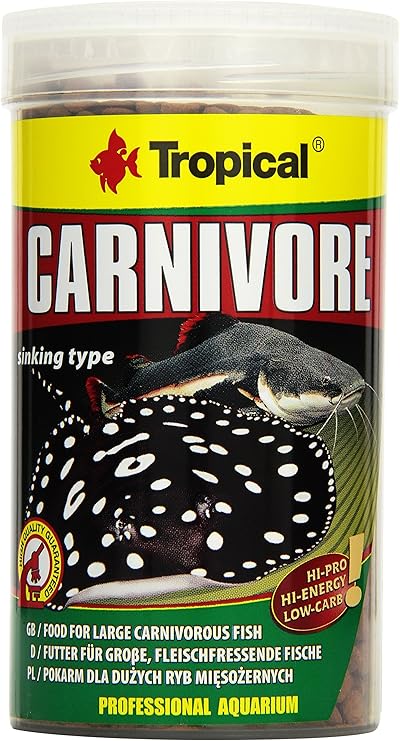 carnivorous fish pets