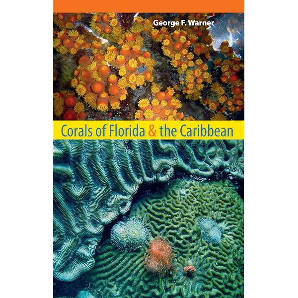Fishes of the Great Barrier Reef and Coral Sea: Randall, John E