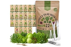 Organo Republic 22 Lettuce & Salad Greens Seeds Variety Pack 24,700+ Non-GMO Heirloom Lettuce Seeds for Indoor & Outdoor Garden, Hydroponics, Aerogarden - Arugula, Kale, Spinach, Swiss Chard, Lettuce