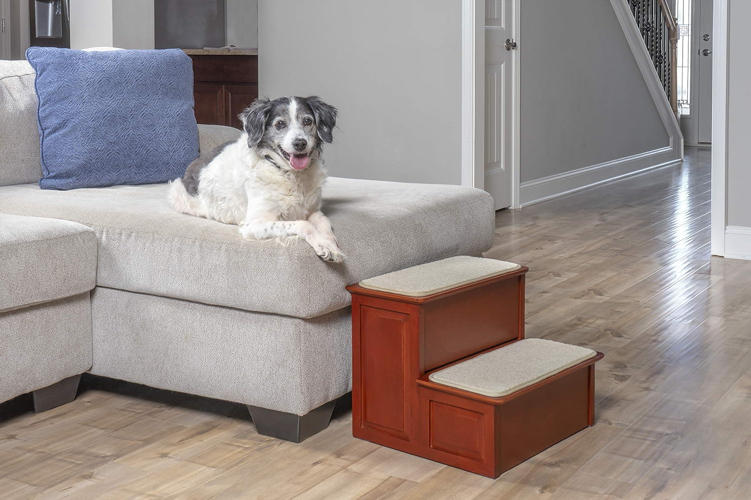PetSafe CozyUp Wood Pet Steps - 3 Step Pet Stairs with Cherry Finish - Furniture Grade Dog and Cat Stairs - Durable Wooden Frame Supports up to 200 lb - Carpeted Tread and Non-slip Feet Provide Added Security : Pet Supplies