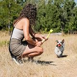 Chuckit Dog Ball Launcher 14M Small 36cm Lightweight Ultra Ball Thrower view 2